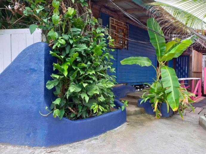 Vila Casa Elba Sobre El Mar Bocas del Toro Exteriér fotografie