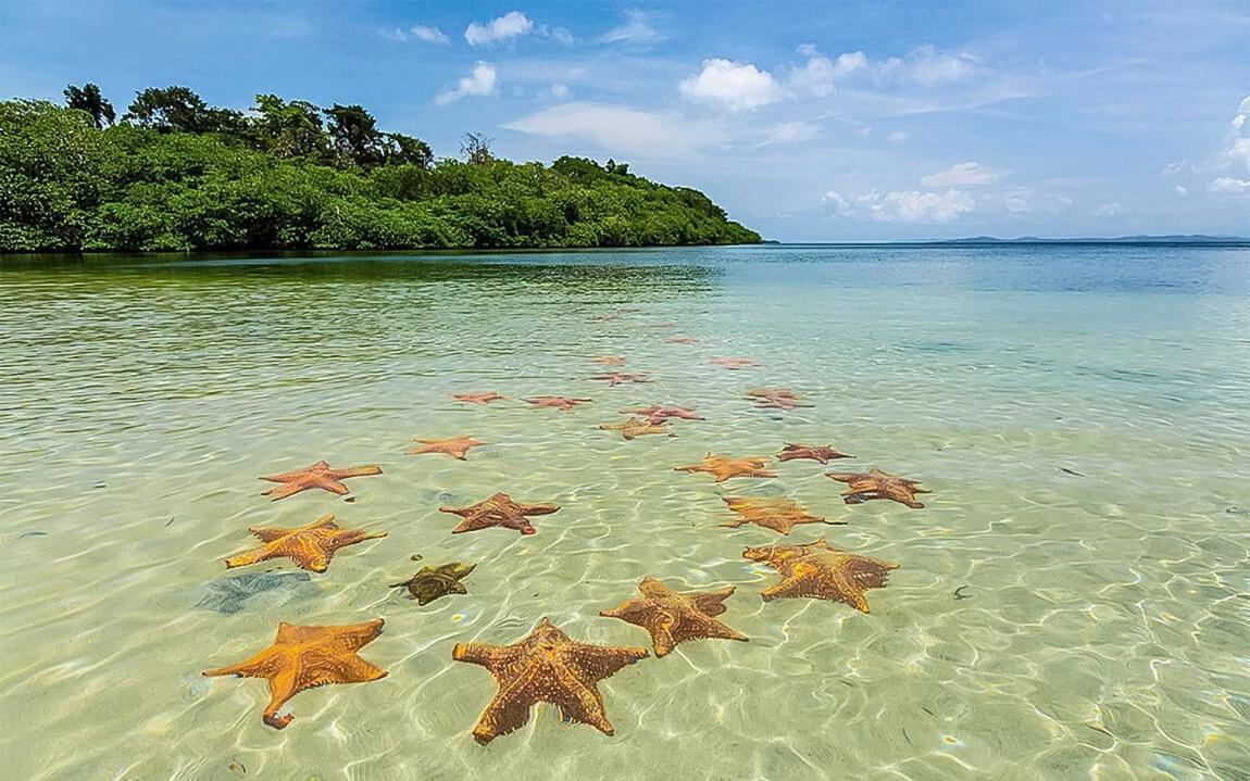Vila Casa Elba Sobre El Mar Bocas del Toro Exteriér fotografie